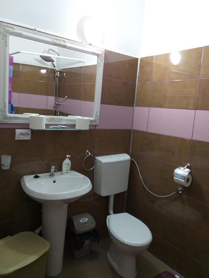 Sara House Apartment Bistrita  Exterior photo